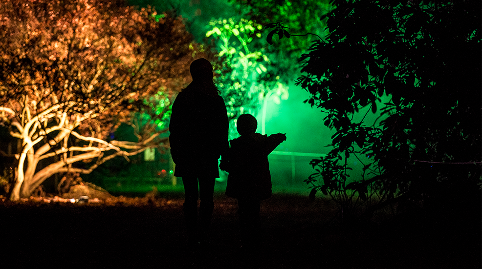 Silhouette of a mother and her young son against the bright lights of Westonbirt Aboretum's Lights Up An Illuminated Trail